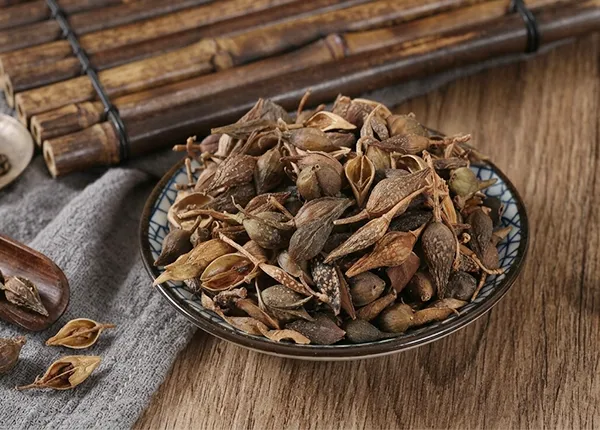 Khám phá cơ chế thanh nhiệt giải độc và tiêu sưng hiệu quả từ vị thuốc Liên kiều