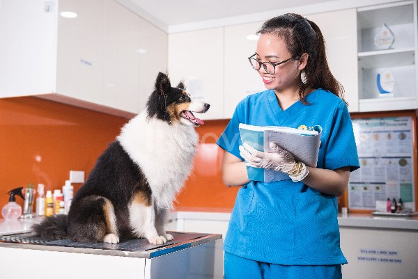 Bác sỹ thú y – cái “tâm” làm nghề