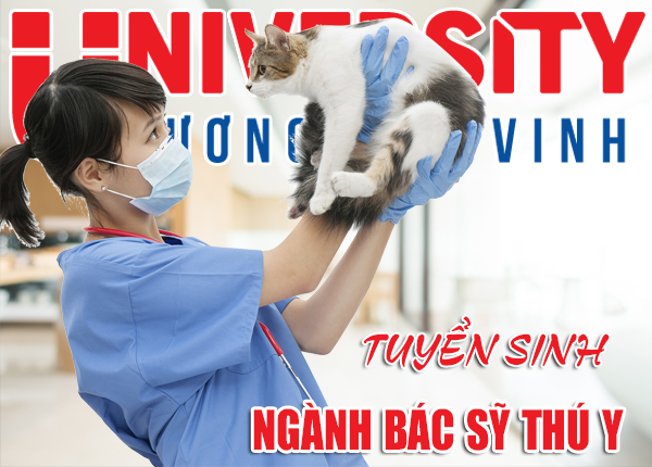 Học ngành bác sỹ thú y có dễ xin việc làm không?
