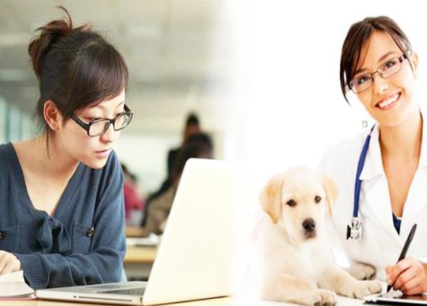 Ngành Thú y - Cơ hội nghề nghiệp và mức thu nhập khi tốt nghiệp