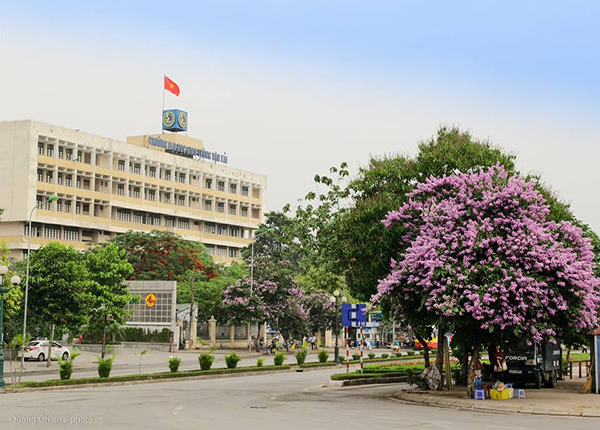 Một số trường đại học top đầu tăng chỉ tiêu, mở ngành mới