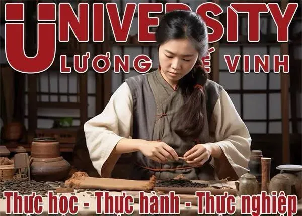 Vì sao nhiều học sinh đăng ký học Đại học ngành Y học cổ truyền năm 2026?