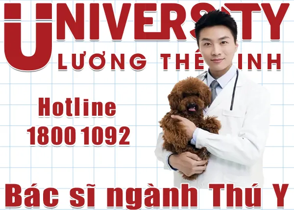 Vì sao học đại học ngành Bác sĩ thú y có cơ hội việc làm rộng mở?