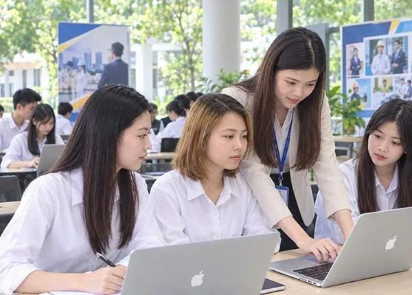 Sinh viên nên lựa chọn hoạt động thực tập như thế nào để tích lũy kinh nghiệm nghề nghiệp?