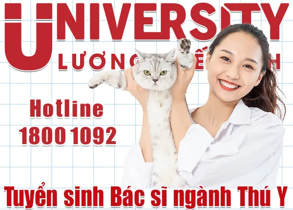 ultv (3)