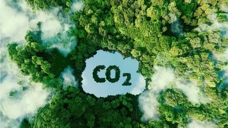 Thị trường carbon Việt Nam lộ diện những công ty chứng khoán đầu tiên: Bạn đã sẵn sàng cho cuộc chơi mới?