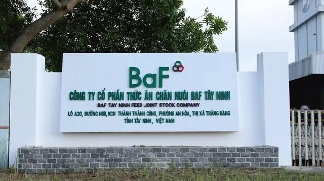 Doanh thu quý II BAF Việt Nam tăng 54%, đã hoàn thành 46,2% kế hoạch năm