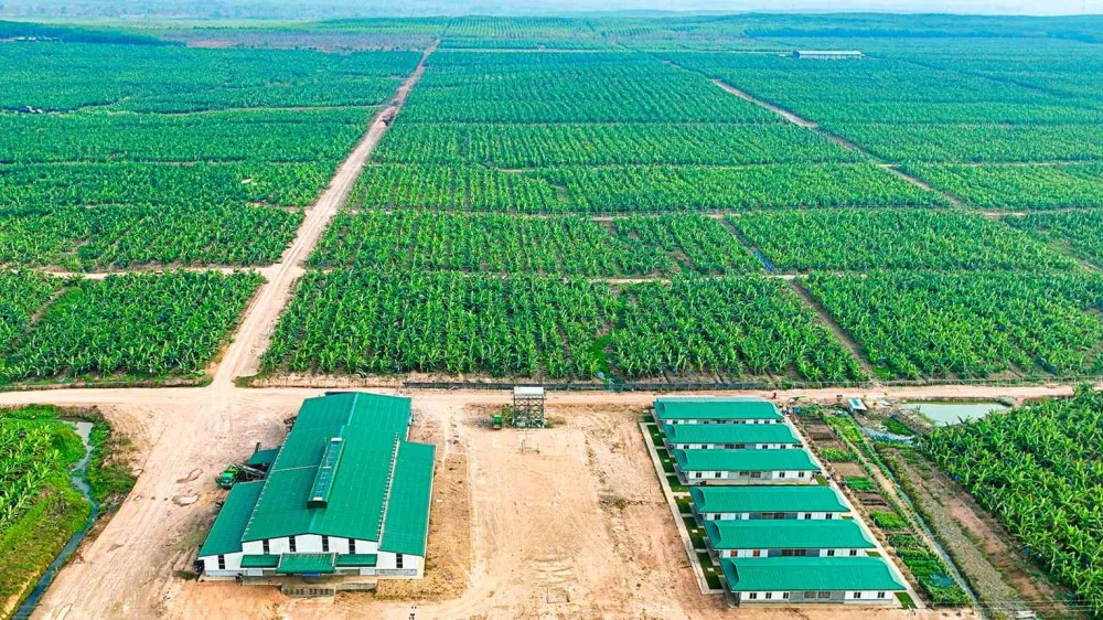 HGI chuẩn bị lên sàn: Doanh nghiệp nông nghiệp của bầu Đức dự thu hơn 1.139 tỷ đồng