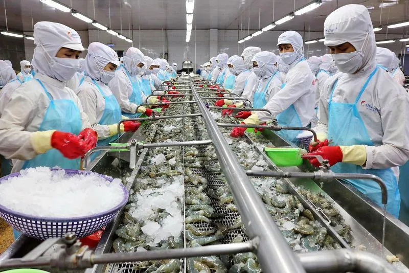 Một doanh nghiệp thủy sản chốt ngày tạm ứng cổ tức đợt 1/2026 bằng tiền mặt, tỷ lệ 8%
