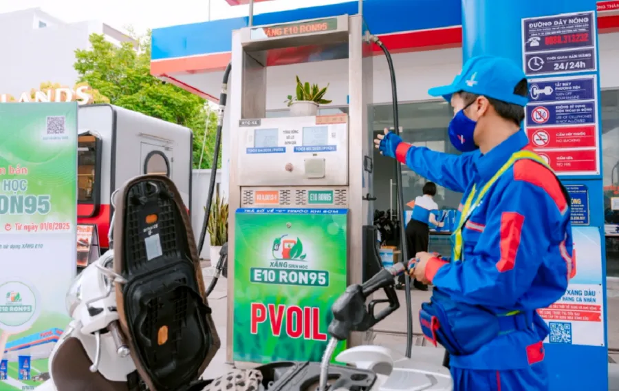 Muốn phát triển xăng E10 bền vững, cần xây dựng ngành ethanol đủ sức cạnh tranh