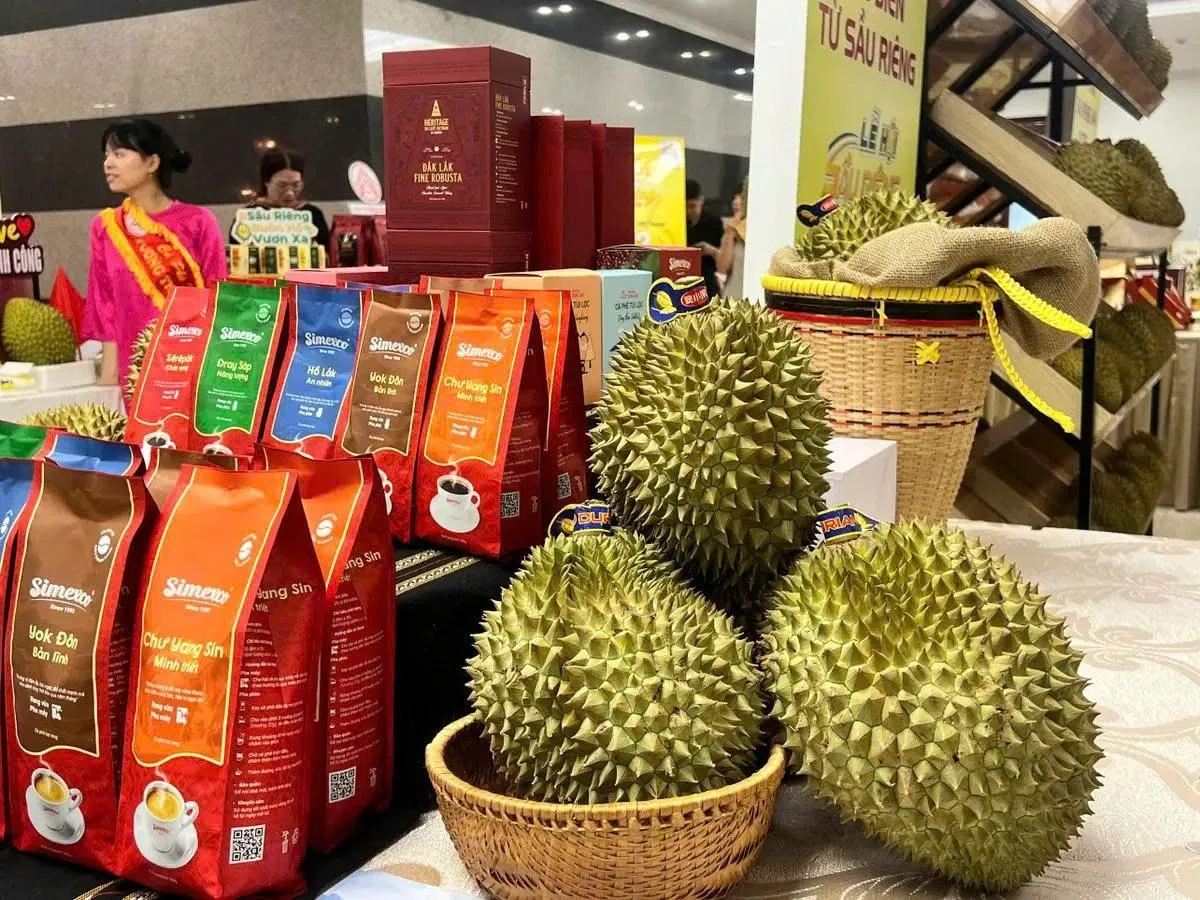 Trong khuôn khổ Lễ hội Sầu riêng Đắk Lắk 2026 sẽ đấu giá 200 ha vườn sầu riêng.