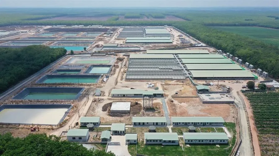 BAF Việt Nam tăng tốc mở rộng chuỗi chăn nuôi, sản lượng heo bán ra tăng mạnh trong nửa đầu năm 2026
