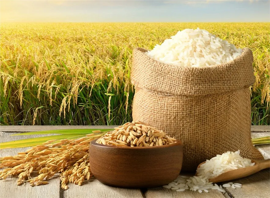 Giá gạo xuất khẩu đồng loạt đi lên, gạo Việt tăng tuần thứ ba liên tiếp