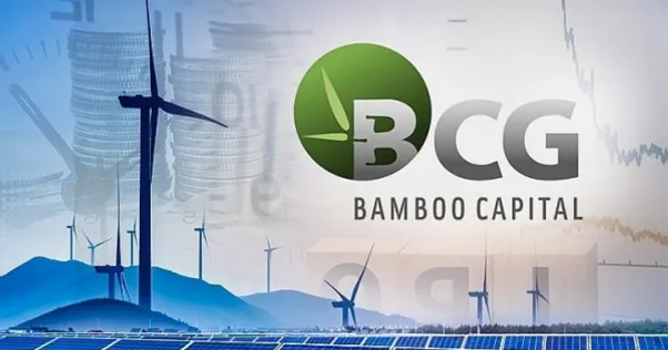 Hai cổ phiếu Bamboo Capital sắp rời UPCoM