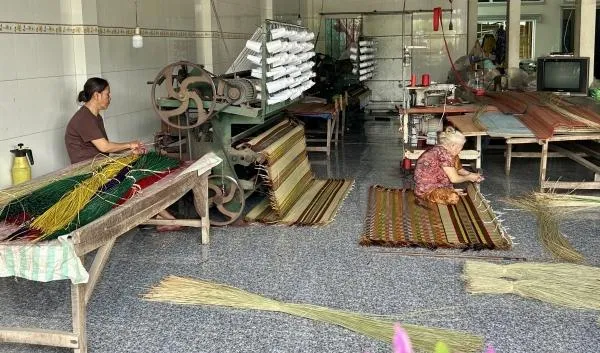 Làng chiếu Định Yên: Từ phiên “chợ ma” huyền thoại đến di sản quốc gia