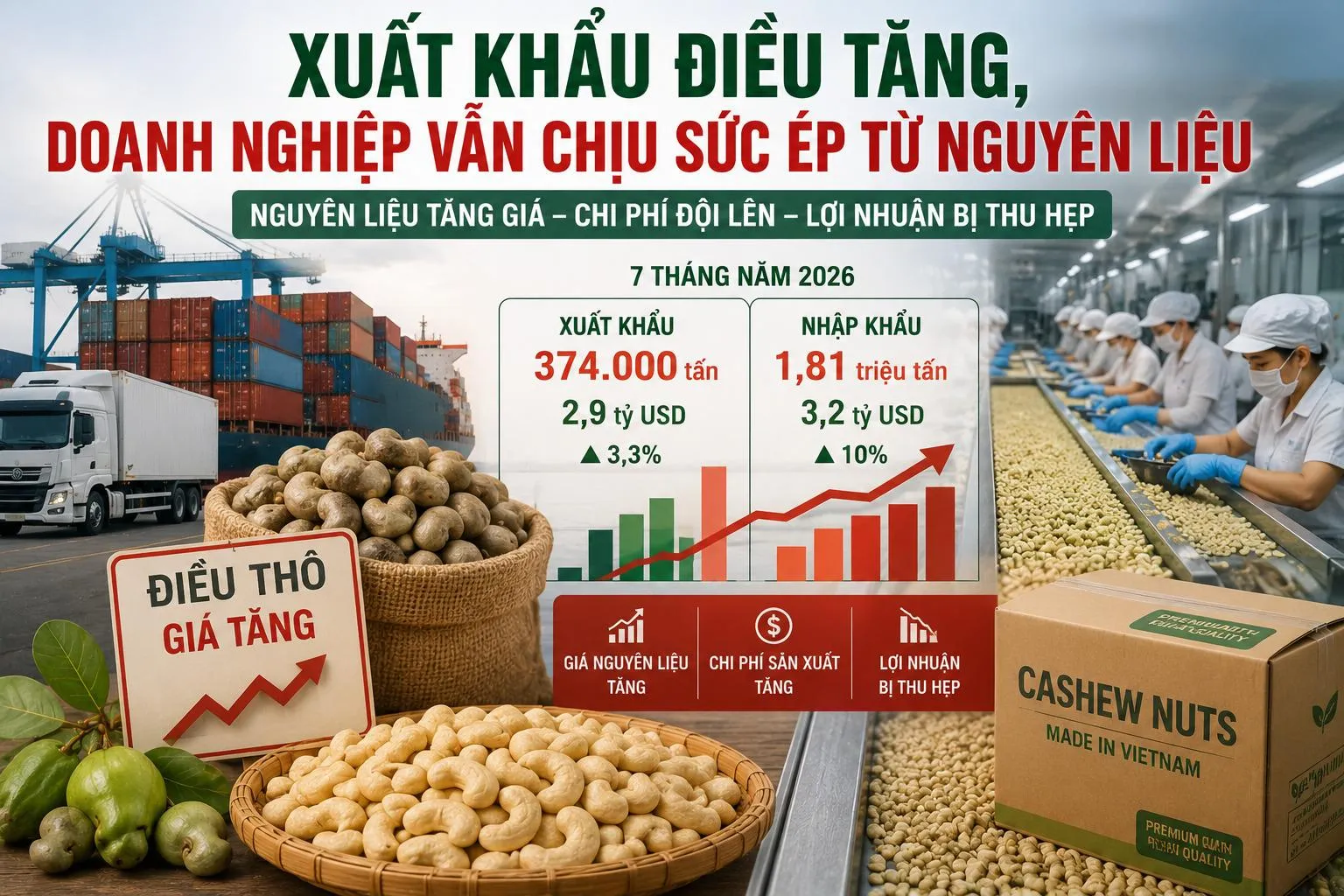 Xuất khẩu điều tăng, doanh nghiệp vẫn chịu sức ép từ nguyên liệu