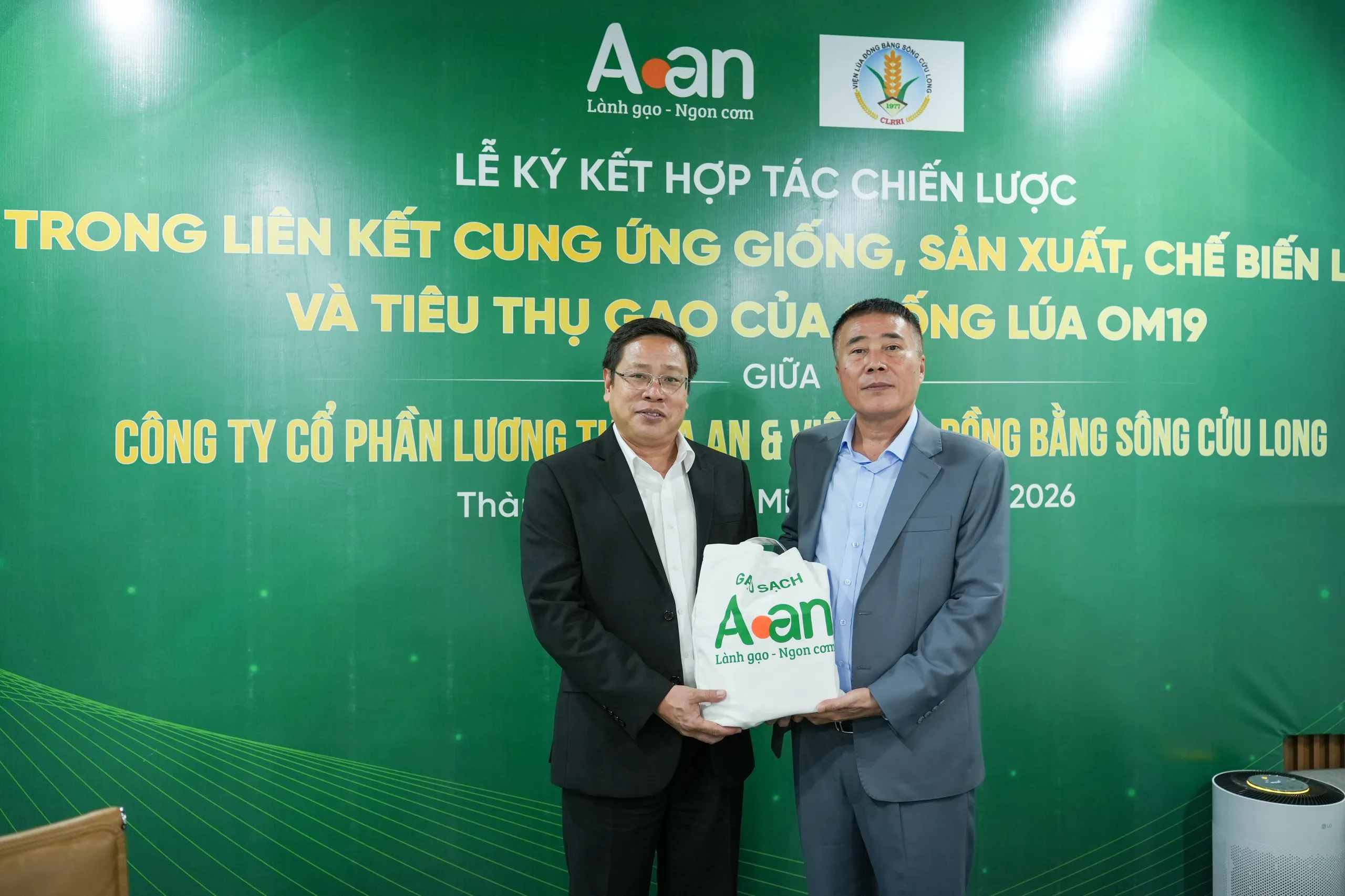 A An và Viện Lúa ĐBSCL hợp tác phát triển OM19, kiến tạo chuỗi giá trị lúa gạo chất lượng cao