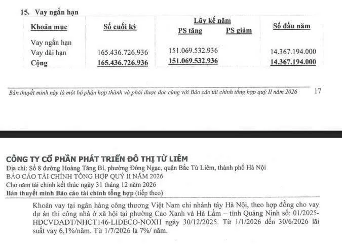 Nhiều ông lớn bất động sản nhà ở tiếp tục gia tăng đòn bẩy tài chính