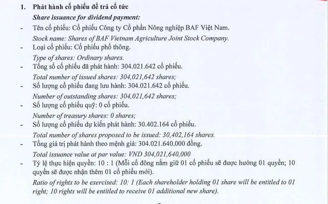 BAF-vnf