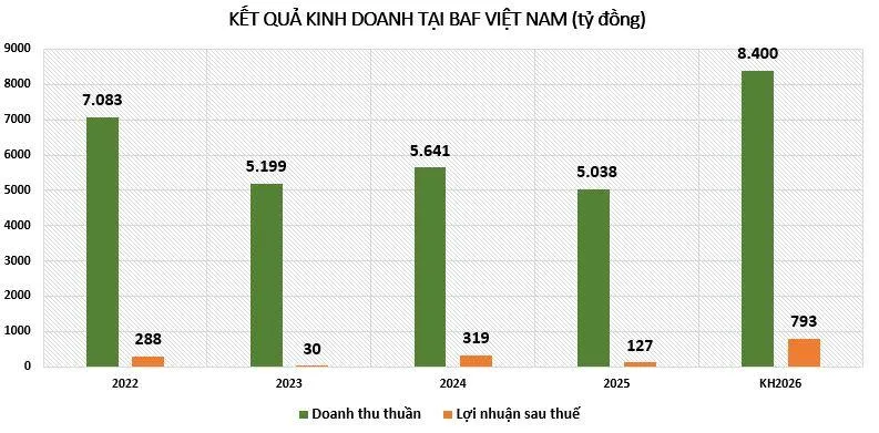 loi-nhuan-tai-BAF-vnf
