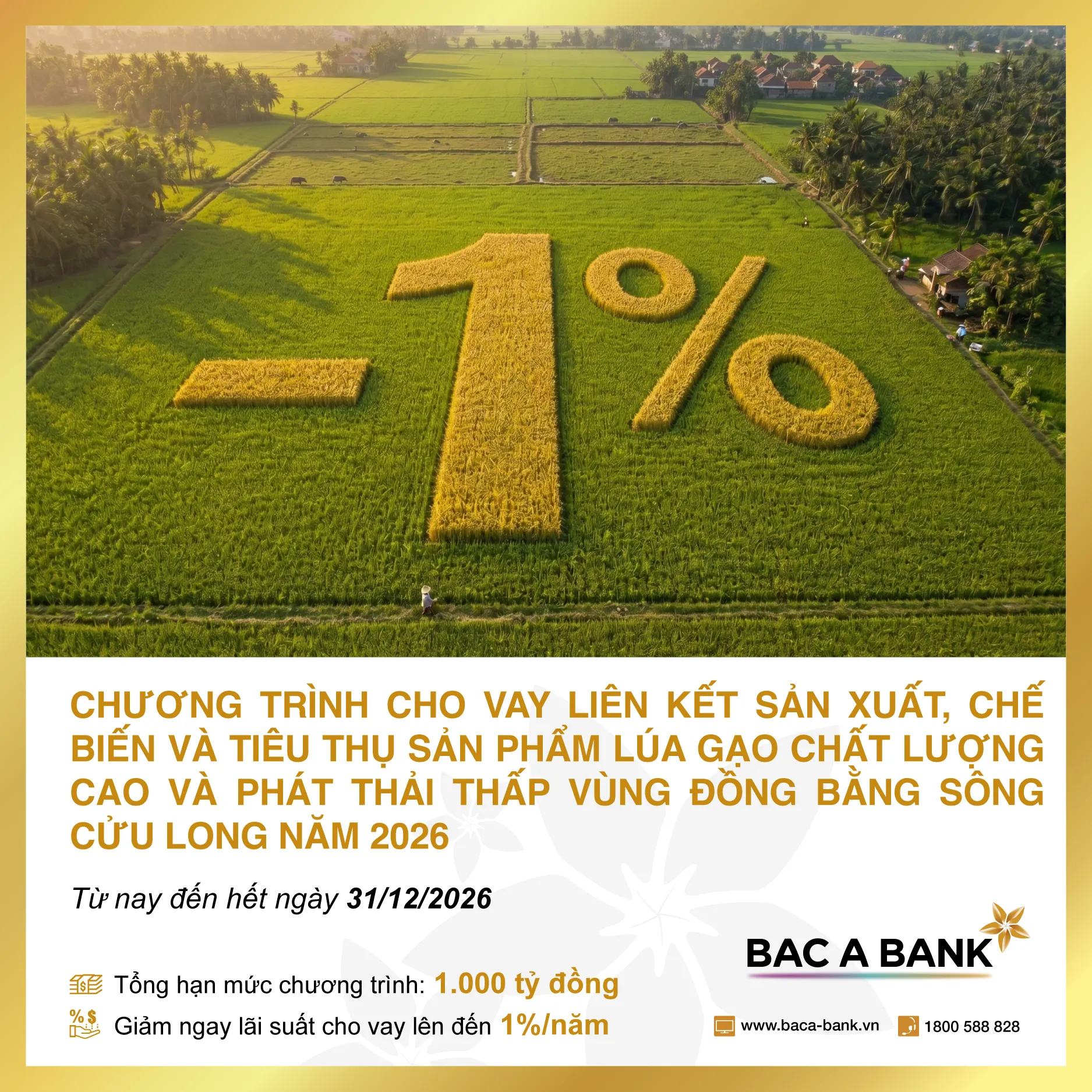 Gói vay ưu đãi hấp dẫn dành cho nông dân Đồng bằng sông Cửu Long