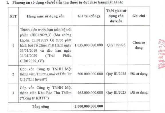 CII-vnf
