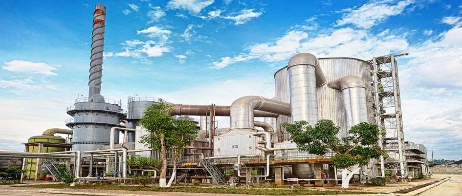 Hóa chất Đức Giang sắp chi hơn 3.000 tỷ đồng trả cổ tức năm 2025 bằng tiền mặt