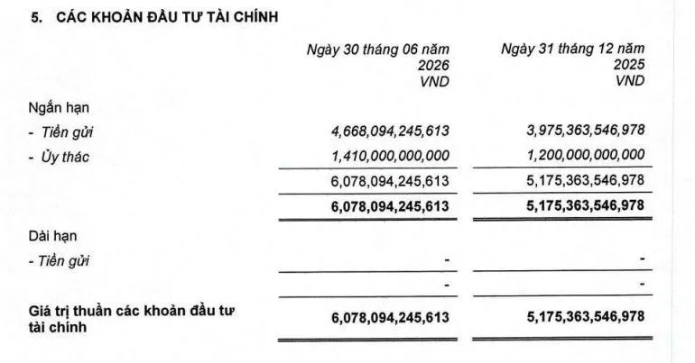 loi-nhuan-tai-MIG-vnf