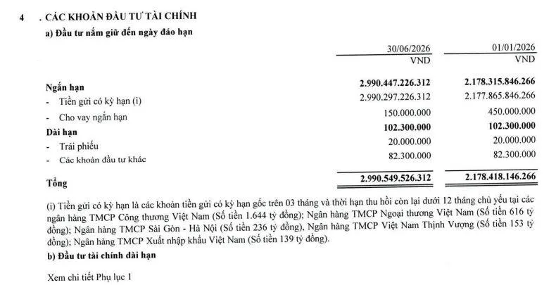 dau-tu-tai-chinh-tai-Viglacera-vnf