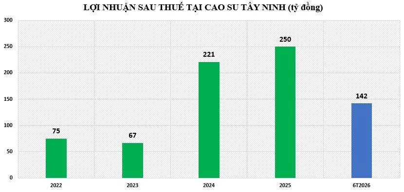 loi-nhuan-tai-TRC-vnf