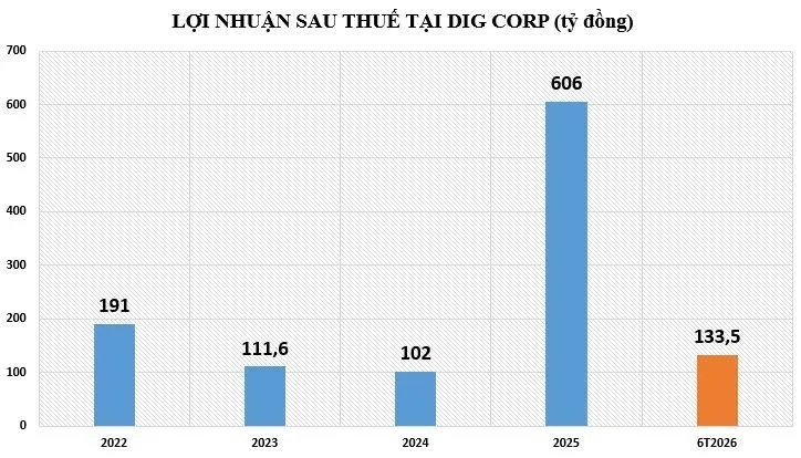 loi-nhuan-tai-DIG-vnf-2