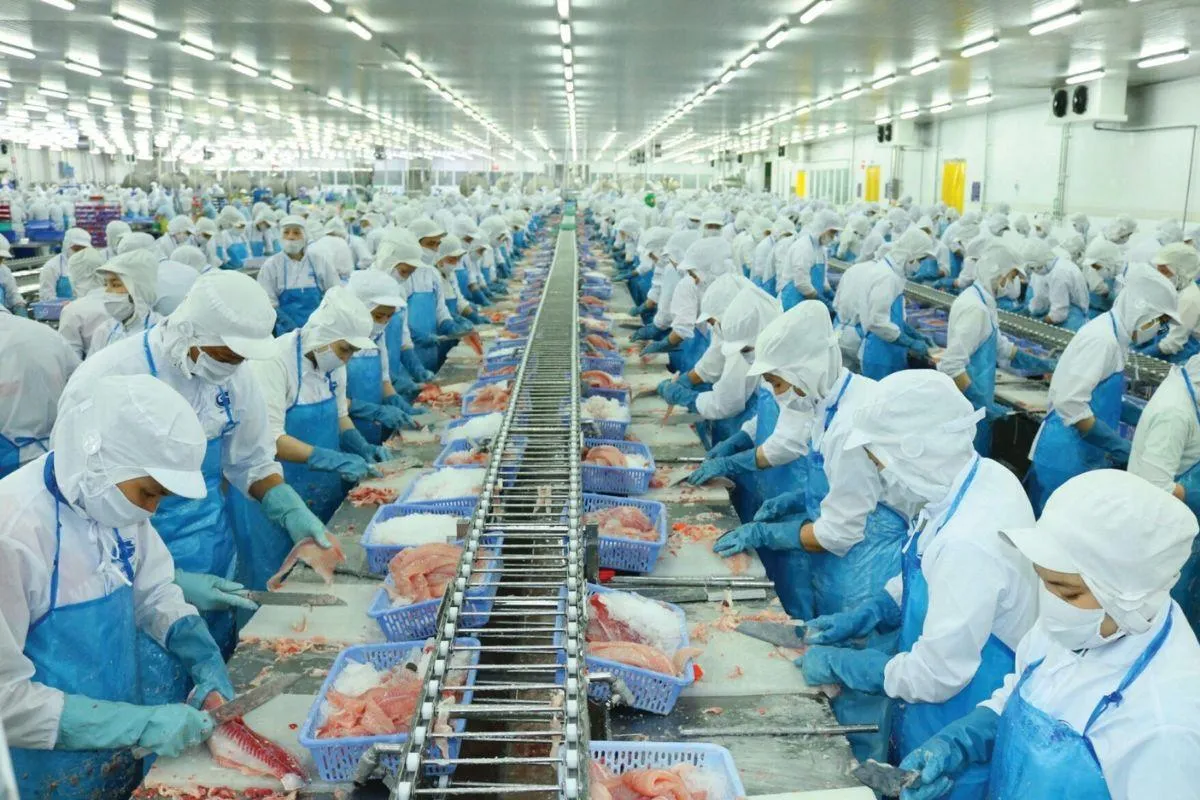 Một doanh nghiệp thủy sản chốt ngày tạm ứng cổ tức đợt 1/2026 bằng tiền mặt, tỷ lệ 8%