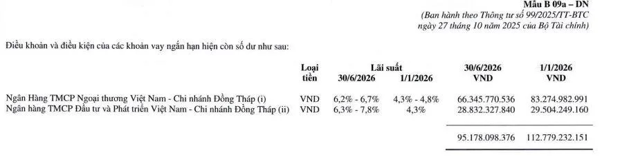 no-vay-tai-IMP-2