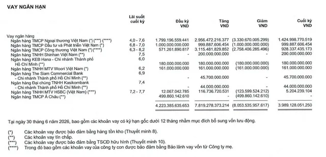 pnj-vnf-2