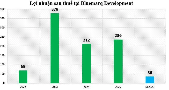 loi-nhuan-tai-Bluemarq Development-vnf
