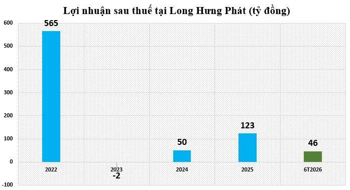 loi-nhuan-tai-long-hung-phat-vnf