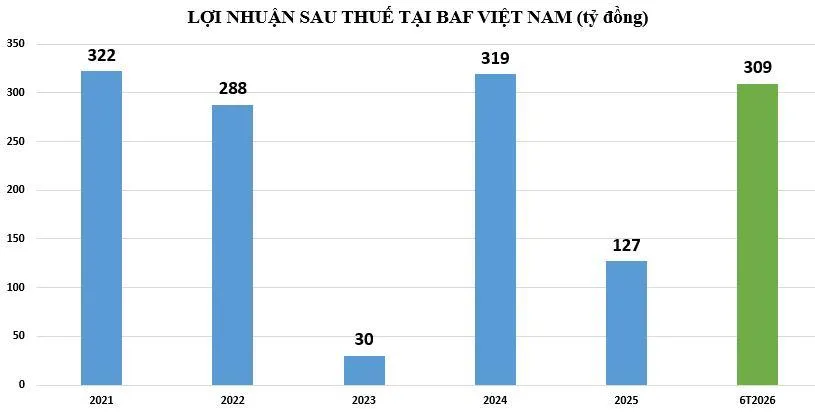 loi-nhuan-tai-baf-vnf