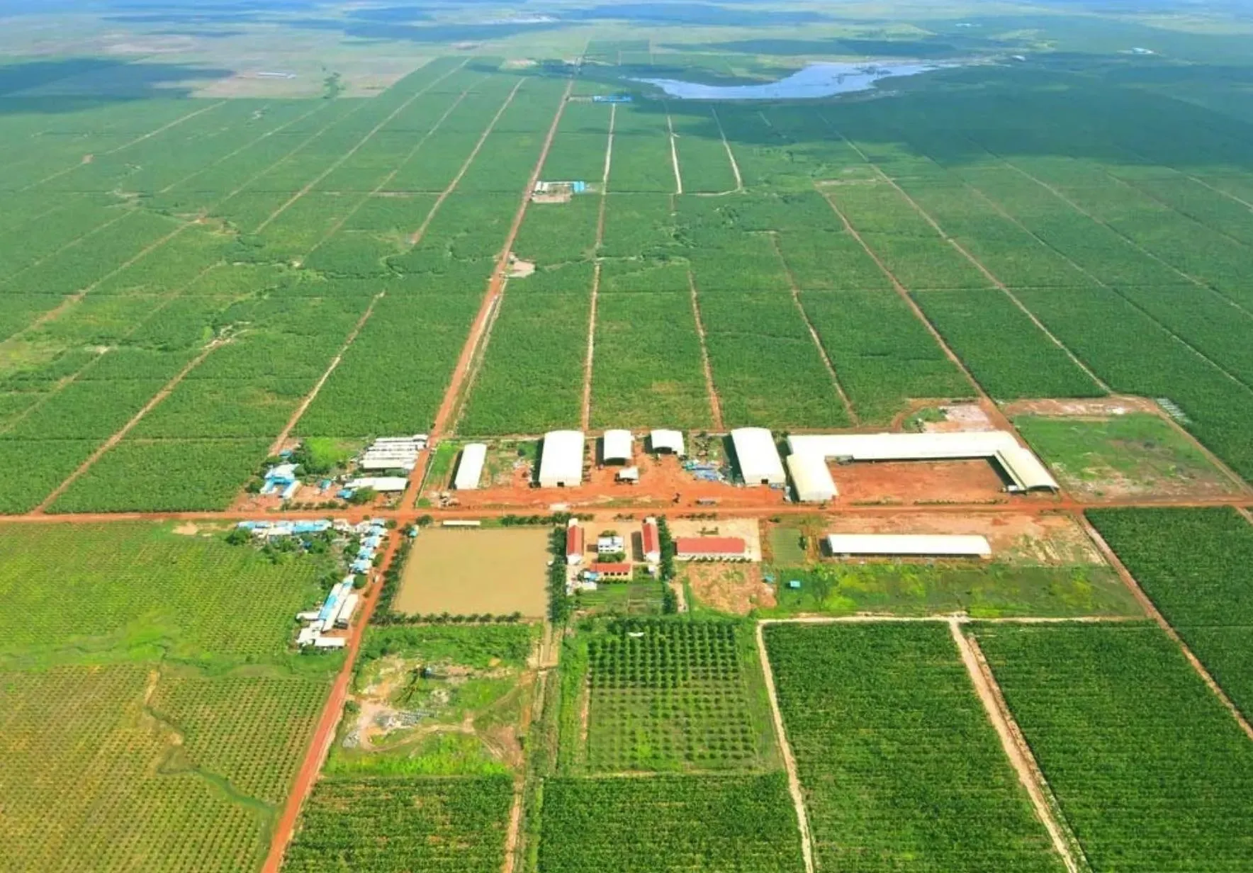 Ảnh minh họa: HAGL